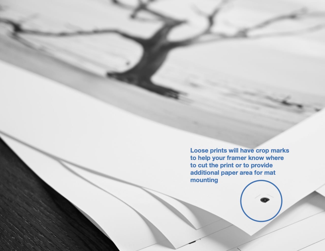 Sailboat Wall Art – Black White Nautical Photography for Minimalist Beach Decor