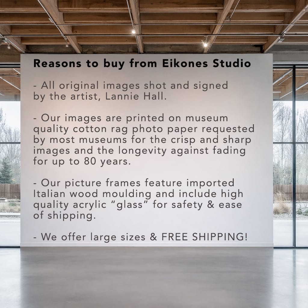 Maritime Photography Art Sailboat Black White Print Nautical Wall Decor Coastal Home Styling Beach House Artwork Ocean Theme Display Elegant Monochrome Design Crystal Coast Image Sailing Vessel Portrayal North Carolina Seascape