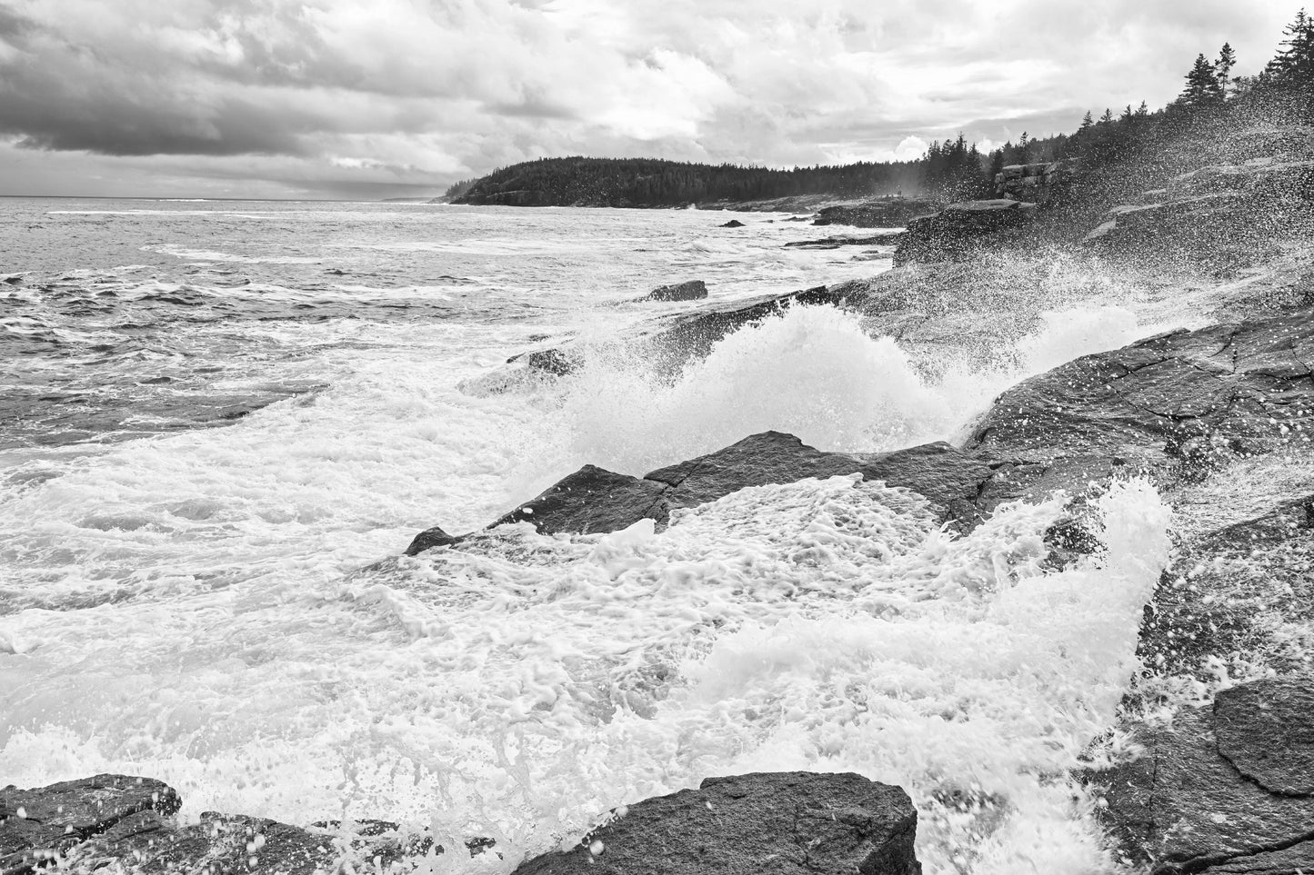 Award Winning Photography Acadia National Park Print Black White Ocean Wave Photograph Maine Coastal Wall Art Fine Art Collection Atlantic Waves Crashing Granite Cliffs Monochrome Nature Landscape Perfect Home Decor Statement Piece Living
