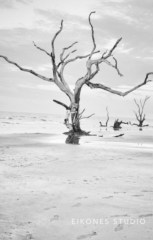 BONEYARD VERTICAL 2 BW