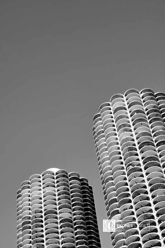 MARINA CITY 1