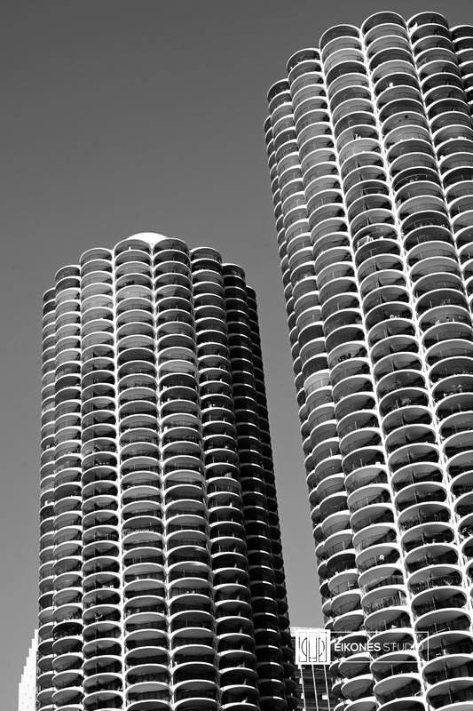 MARINA CITY 2