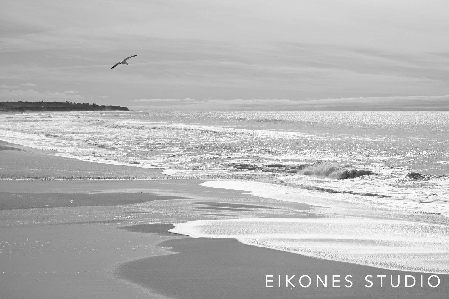 POINT LOBOS 5 BW