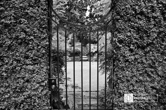 PRIVATE GARDEN SAVANNAH 1