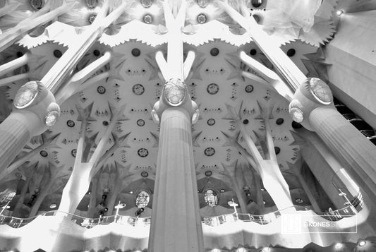 SAGRADA FAMILIA DOMES BW