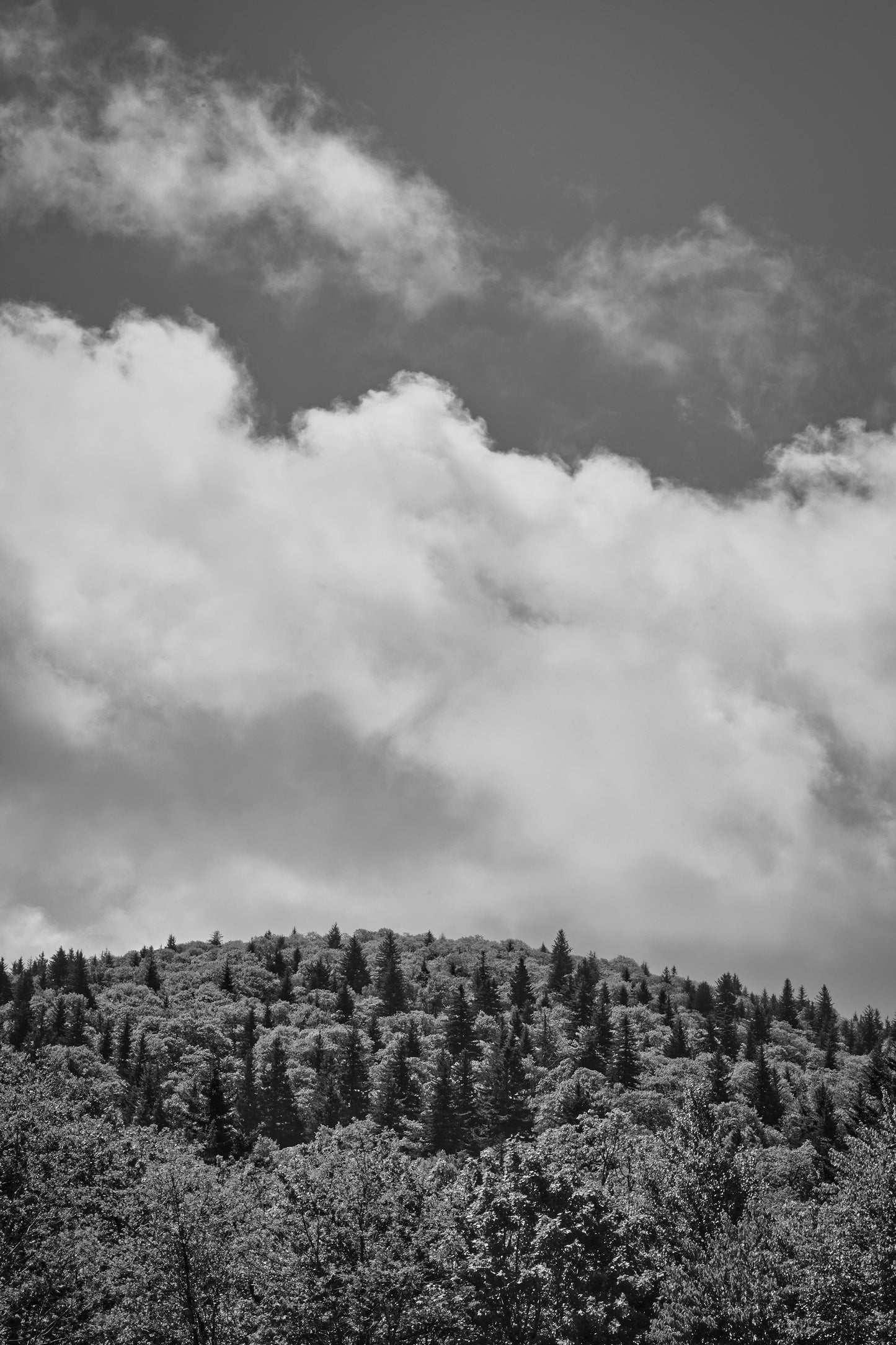SUMMER MOUNTAINS 1 BW