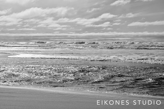 POINT LOBOS 9