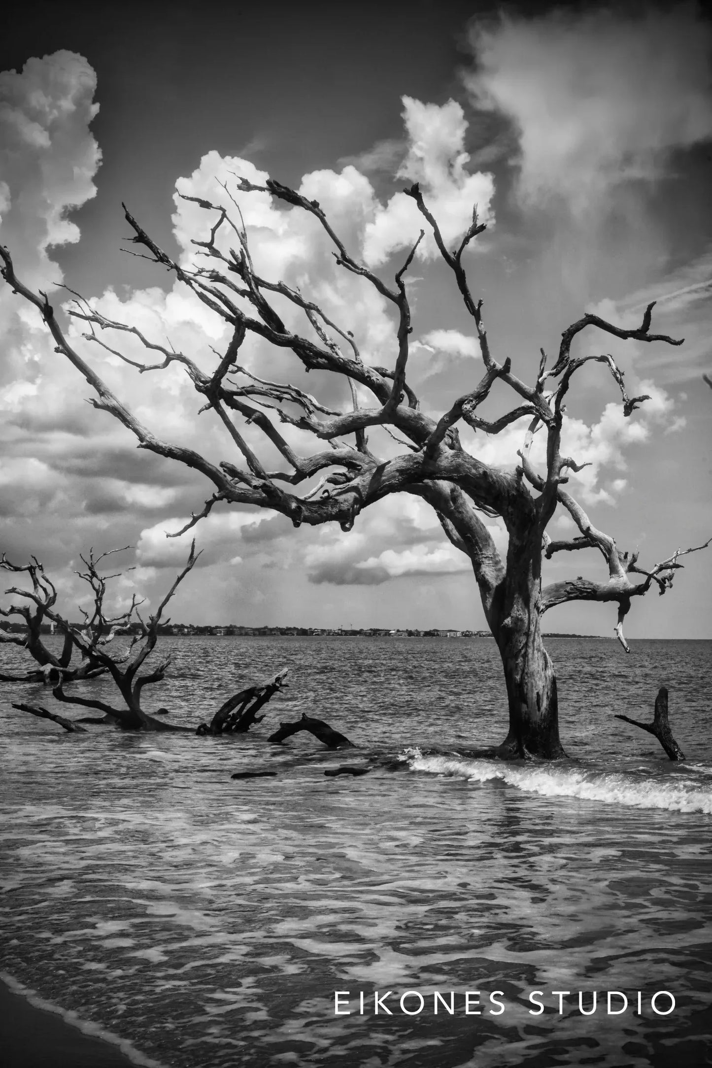JEKYLL ISLAND 7